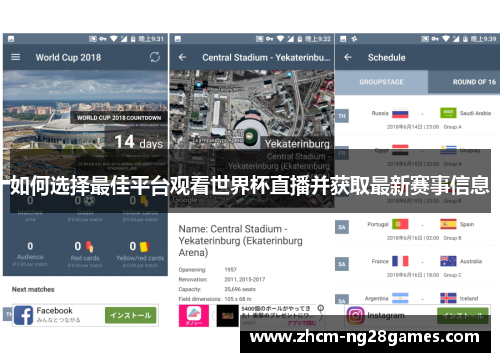 如何选择最佳平台观看世界杯直播并获取最新赛事信息